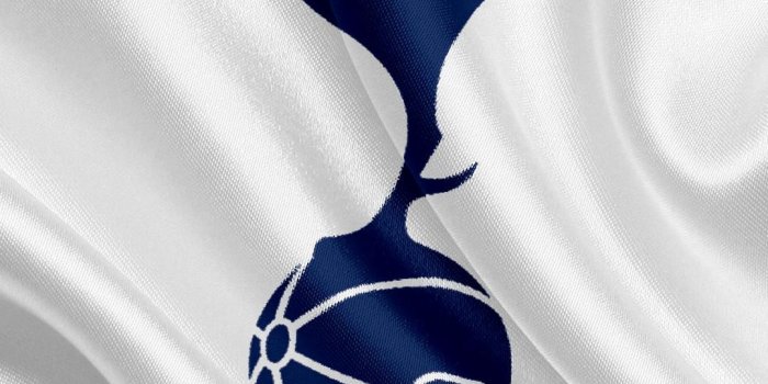 1080x1920 Tottenham FC Android Wallpapers