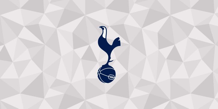 2560x1440 100+] Tottenham Wallpapers | Wallpapers.com