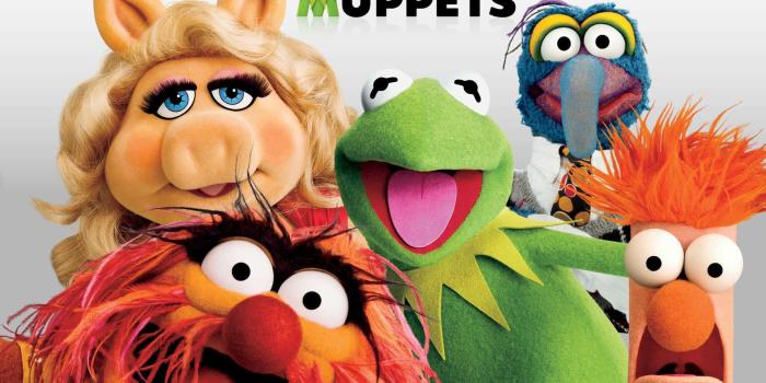 1920x1200 100+] Animal Muppet Wallpapers