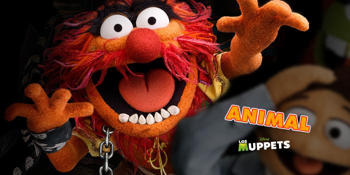 1920x1200 TV Show The Muppet Show HD Wallpaper