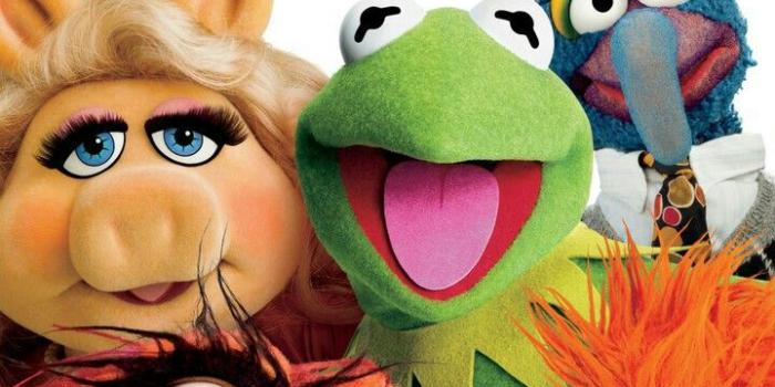 720x1277 Teresa Rotella on Muppets | The