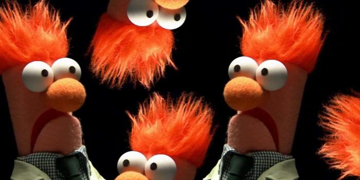 1680x1050 Orange Stuffed Animals Wallpaper