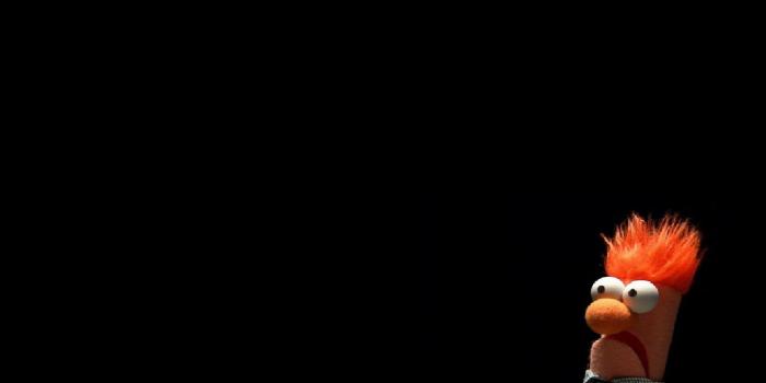 1680x1050 The Muppets Wallpapers