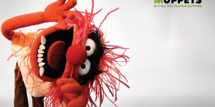 1920x1200 Muppets Wallpapers