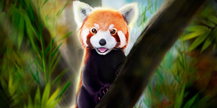 3840x2400 Red Panda