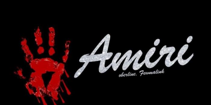 1000x1000 Who produced “AMIRI” by FEWMALINKMUSIC?