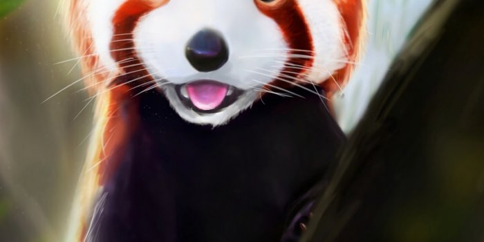 1280x2120 Download wallpaper 1280x2120 cute, red