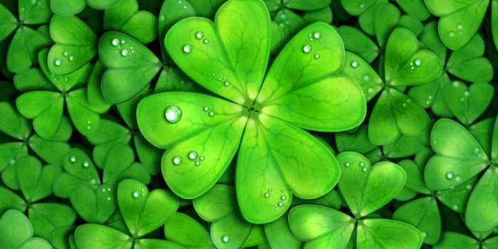 1280x720 Lucky Wallpapers