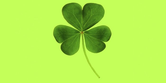 1000x1500 999+ Luck Pictures | Download Free