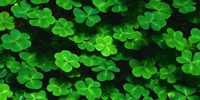 1920x1200 Lucky Charm Wallpapers