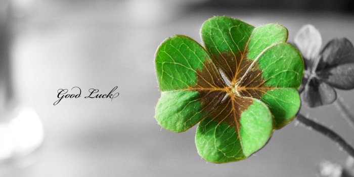 1920x1080 Good Luck Wallpapers