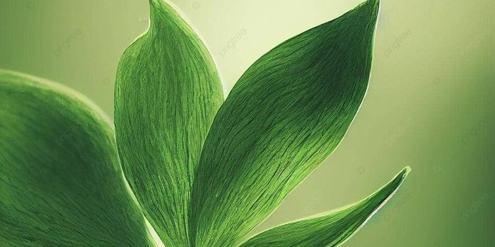 960x1403 3d Rendered Lucky Charm Backdropperfect