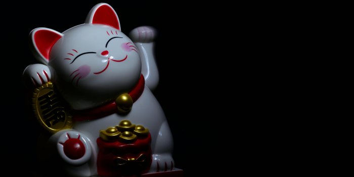 6016x4000 Lucky Photos, Download The BEST Free