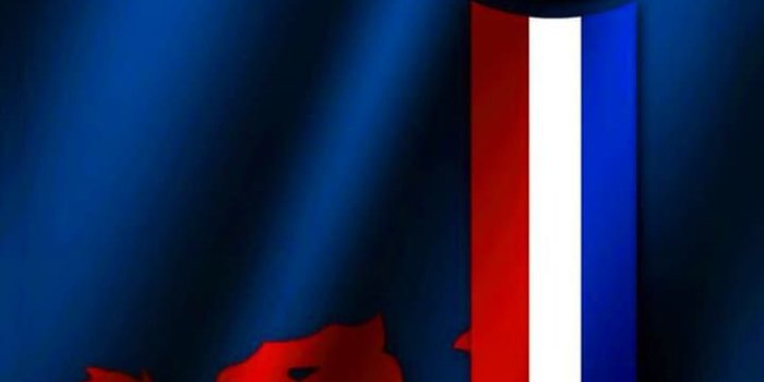 720x1280 Rangers FC wallpaper
