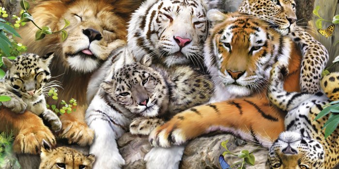 1772x1297 Screensavers & Wallpapers