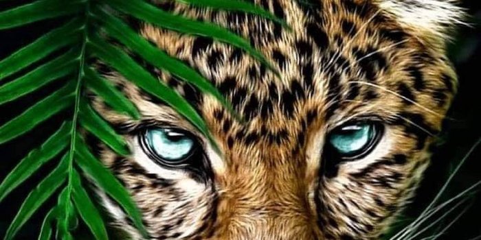 1193x1920 Leopard Wild Animal Wallpaper