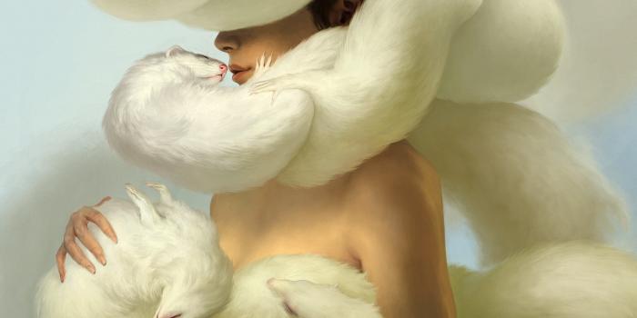 1920x1080 White ferrets as a coat wallpaper