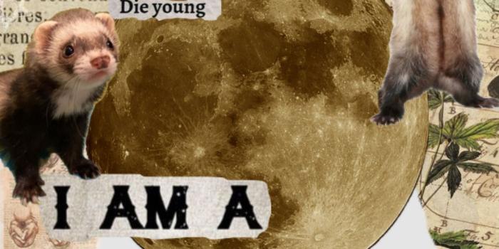 1080x1920 Shuffles #quotes #wallpaper #vibes