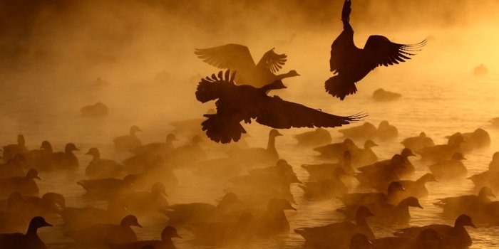 3072x2306 Nature Photos, Wildlife Pictures