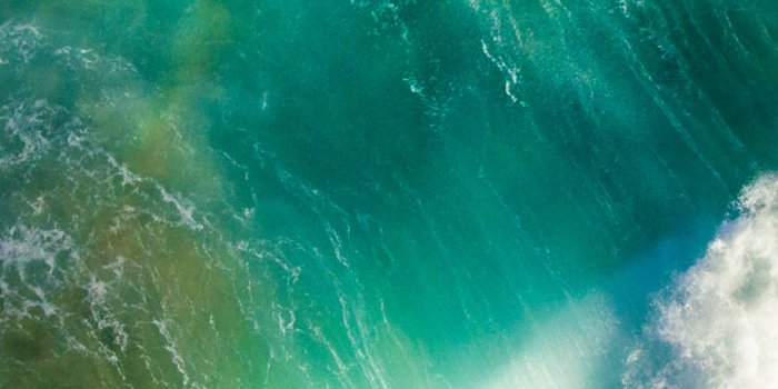 872x1634 100+] Ios 6 Wallpapers | Wallpapers.com