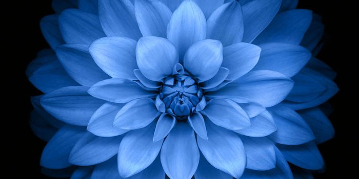 960x1704 100+] Ios 6 Wallpapers | Wallpapers.com