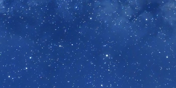 736x1308 wallpaper | Iphone background, Iphone