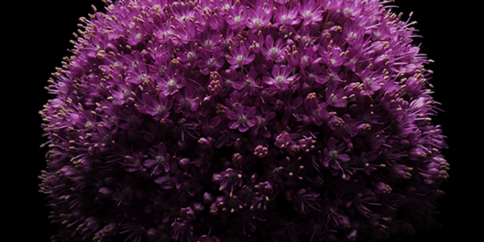 744x1392 Download the new iOS 8 wallpapers