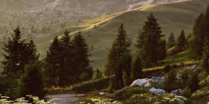 1080x1920 Ferrari F40 | Sportsvogne, Biler