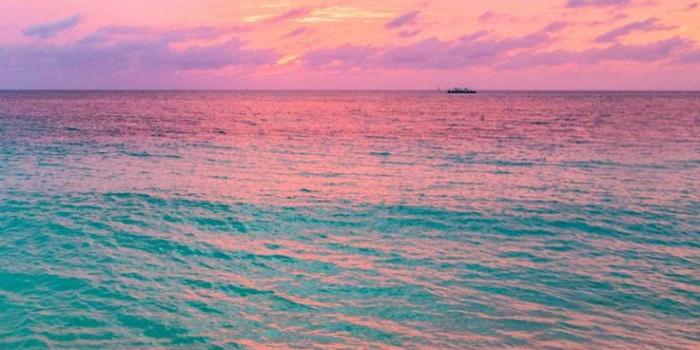 736x1307 Pink Beach Wallpaper: 31 Gorgeous Beach