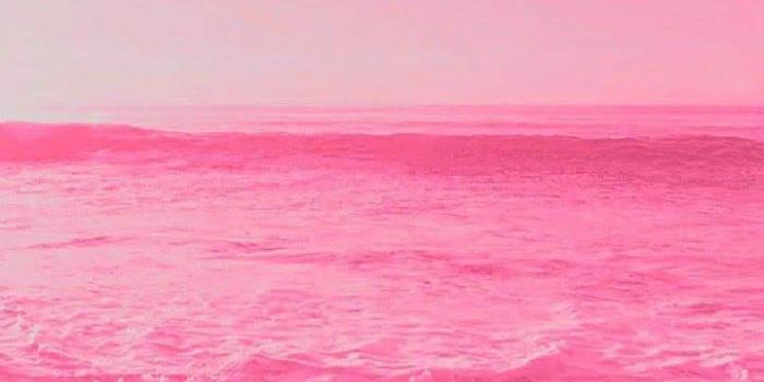 720x1520 Pastel Pink Beach Wallpaper