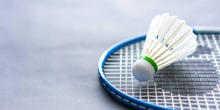 1920x1200 100+] Badminton Wallpapers | Wallpapers.com