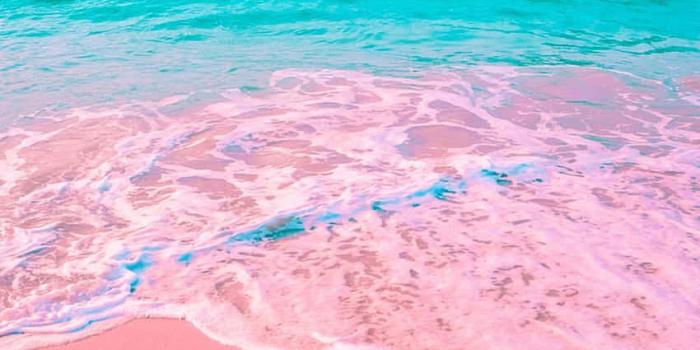 850x1275 pink beach. Wallpaper
