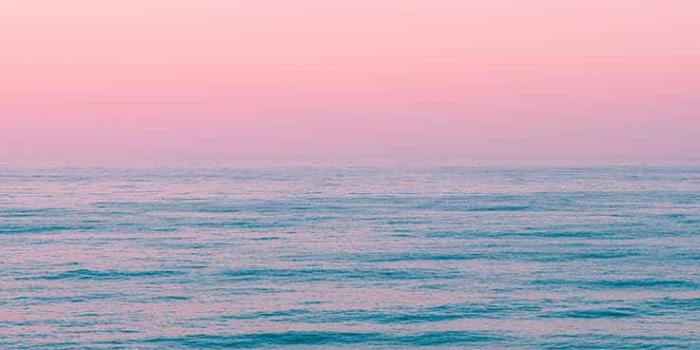 736x1308 Beach iPhone Wallpapers HD Quality