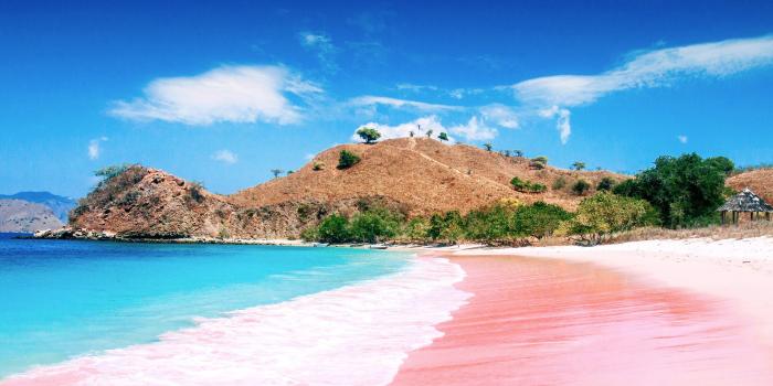 1920x1080 Pink beach, clear skies [1920x1080] : r