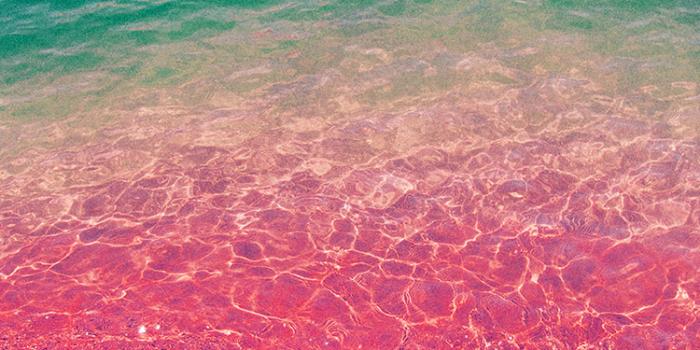 750x1334 np20-sea-water-beach-summer-nature-pink