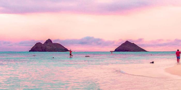 1080x1920 vibrant pink sands Wallpaper