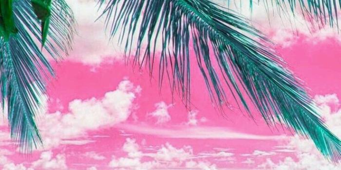 736x1309 Beach wallpaper, Cute wallpaper backgrounds