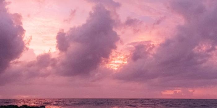 1280x1920 Download Pink Beach Sunset With Heavy