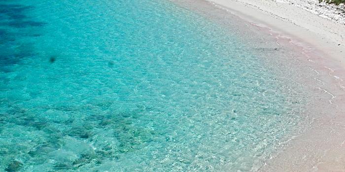 1040x1526 Pink Beach of Komodo Wallpaper for