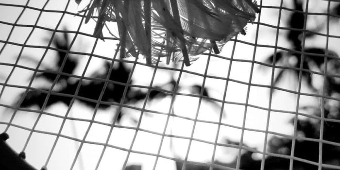 900x1920 100+] Android Badminton Backgrounds