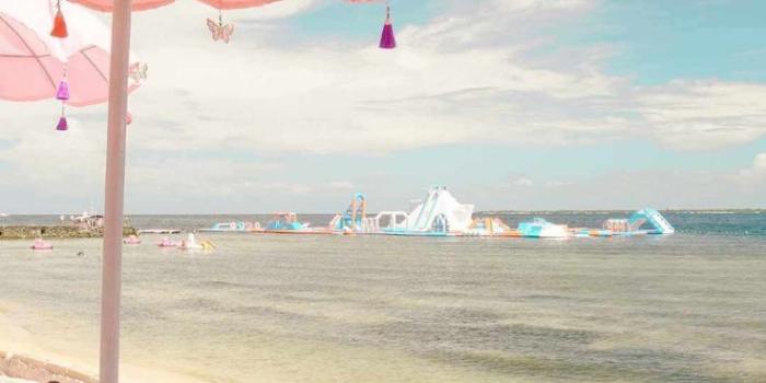 736x1307 Pink Beach Wallpaper: 31 Gorgeous Beach