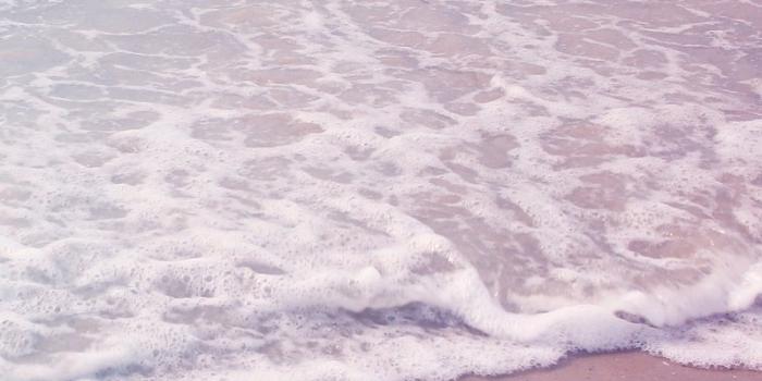 800x1422 Pink Beach Images | Free Photos, PNG