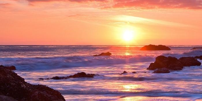 768x1024 Pink Beach Wallpapers