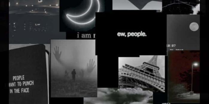 850x1507 Download Overlapping Collage Black