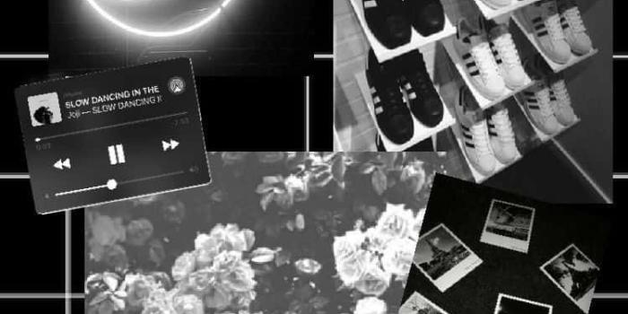 750x1334 Flowers Black Collage Wallpaper