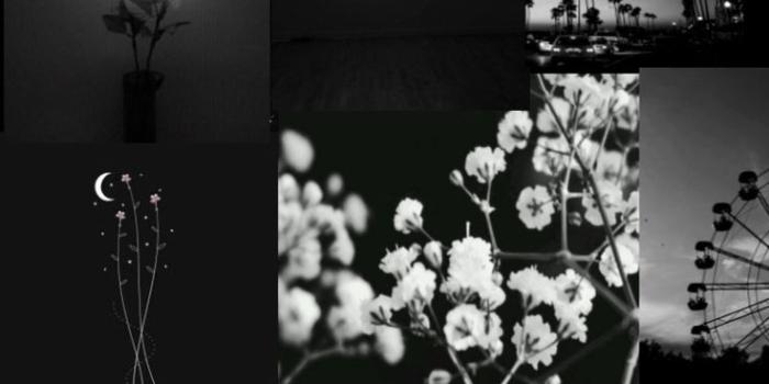 736x1104 Pretty wallpapers, Aesthetic collage