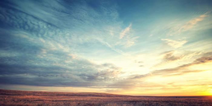 1920x1200 100+] Outside Backgrounds | Wallpapers.com