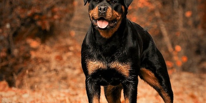 800x1086 Free Photos, PNG Stickers, Wallpapers &