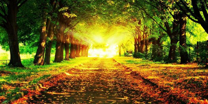 1920x1080 22 Outside Wallpapers - Wallpaperboat