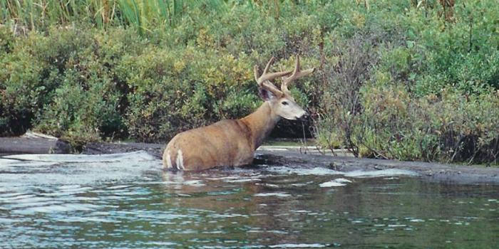 1024x768 Outdoor Wallpaper Pack 1 file